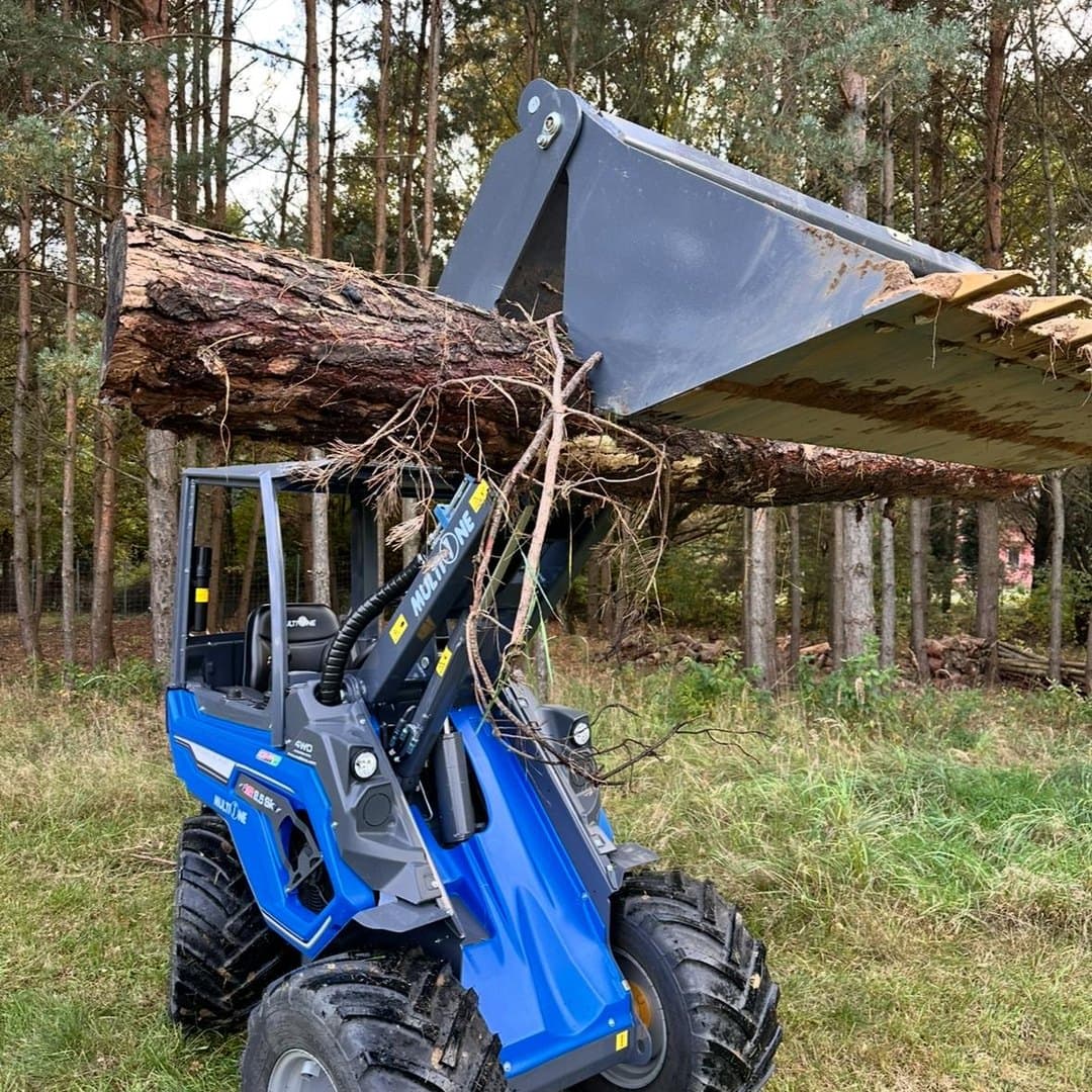 Transport ściętego drewna